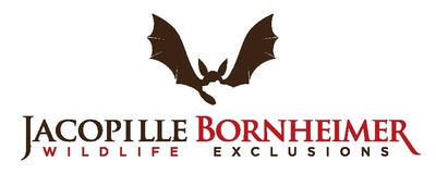 Henrietta Wildlife Removal